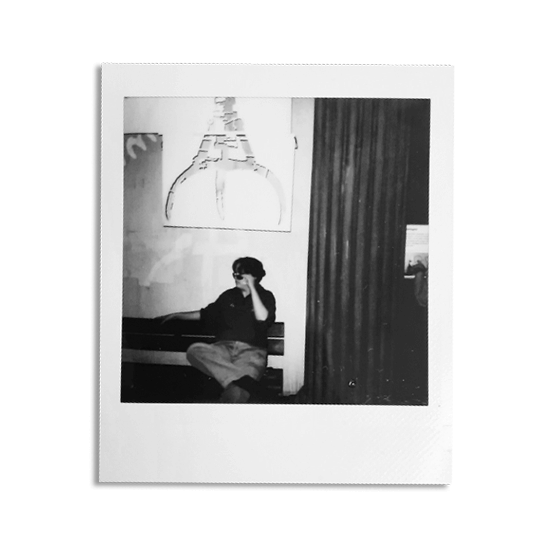 polaroid